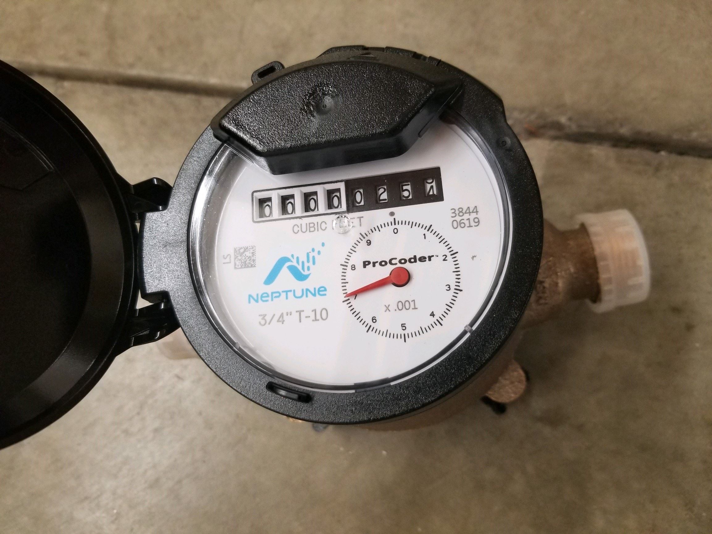 Neptune Meter Picture 2