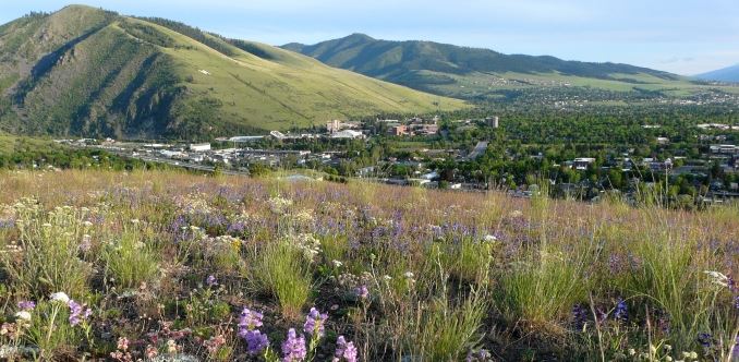 Housing Policy Cover Image